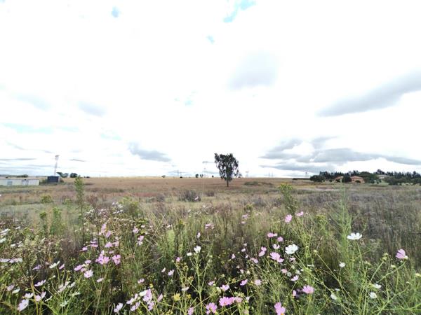 1 ha Land