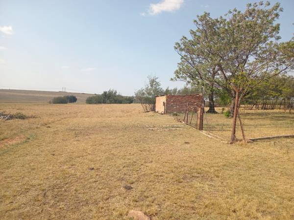 175 ha Farm
