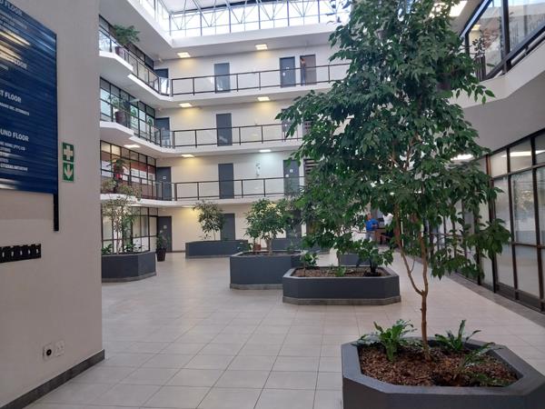 127  m² Commercial space