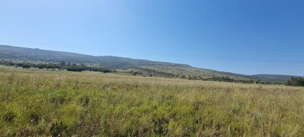 28 ha Land