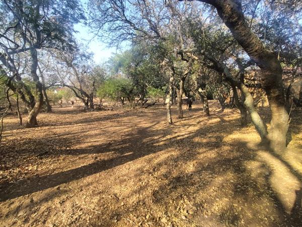 8.6 ha Smallholding
