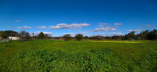 7 917 m² Land