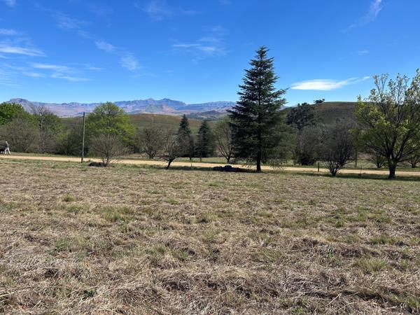 2 217 m² Land