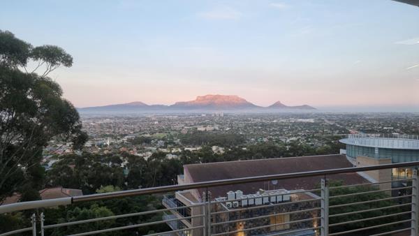 47  m² Office Space