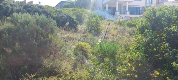 973 m² Land