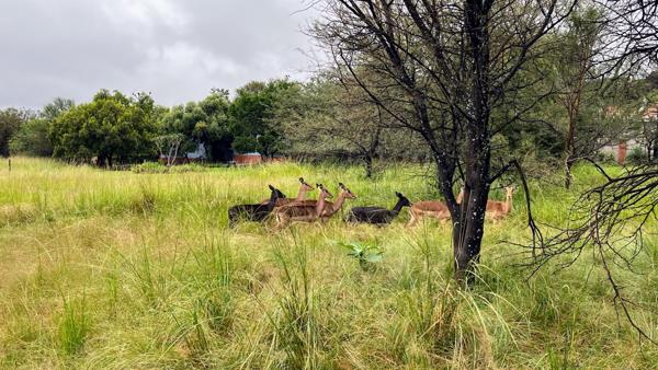 926 m² Land