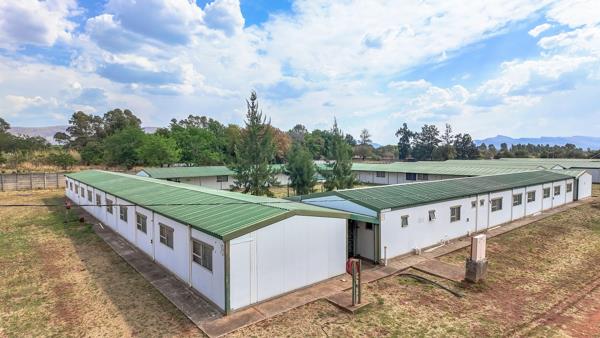 5.5 ha Farm