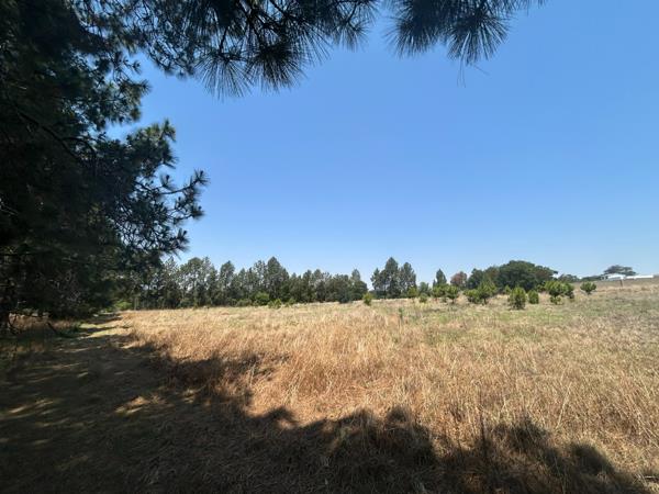 1.7 ha Land