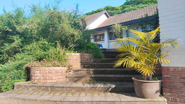 40  m² Commercial space