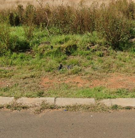 1 085 m² Land