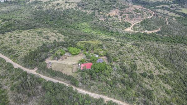 9.8 ha Smallholding