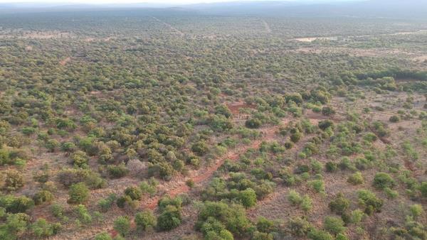 22 ha Agricultural Holding