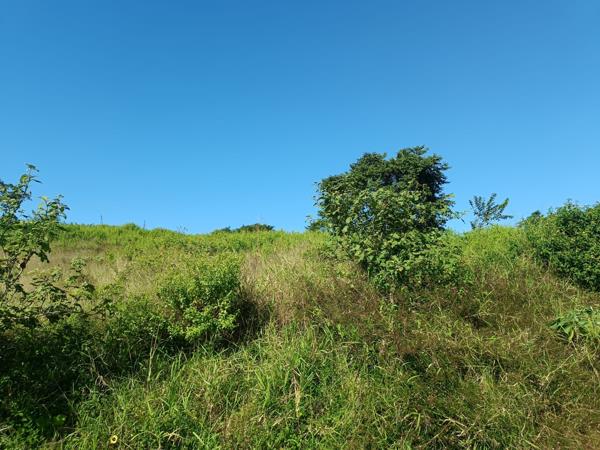 1 078 m² Land