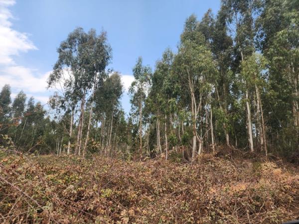267 ha Farm