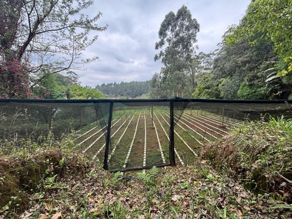 3 365 m² Land