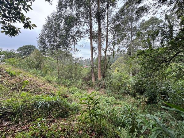 3 365 m² Land