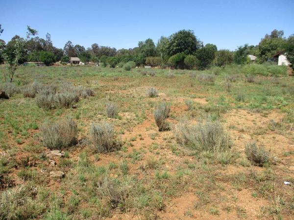 2 974 m² Land