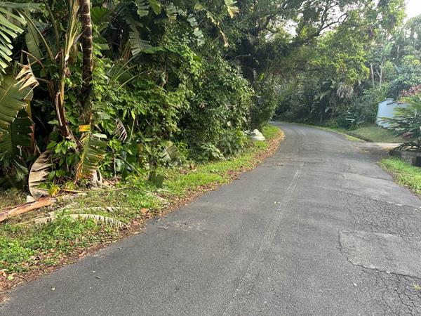 3.5 ha Land