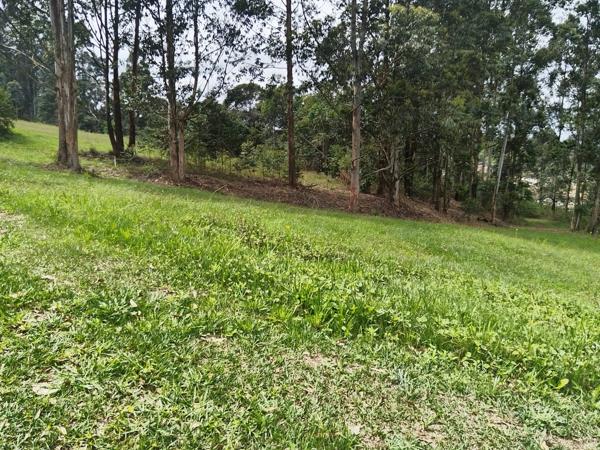 1 736 m² Land