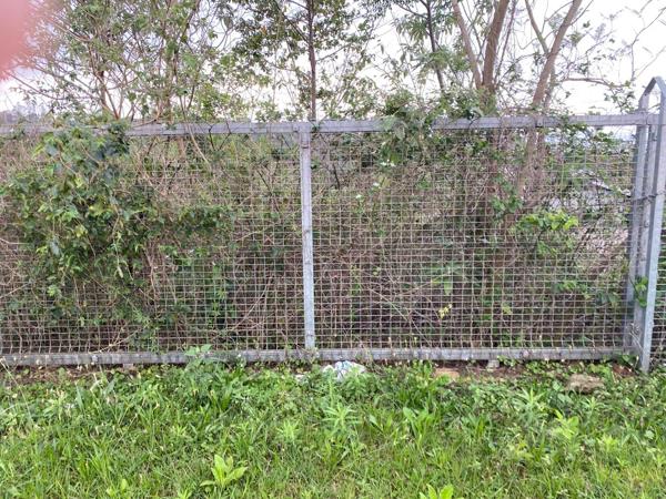 560 m² Land