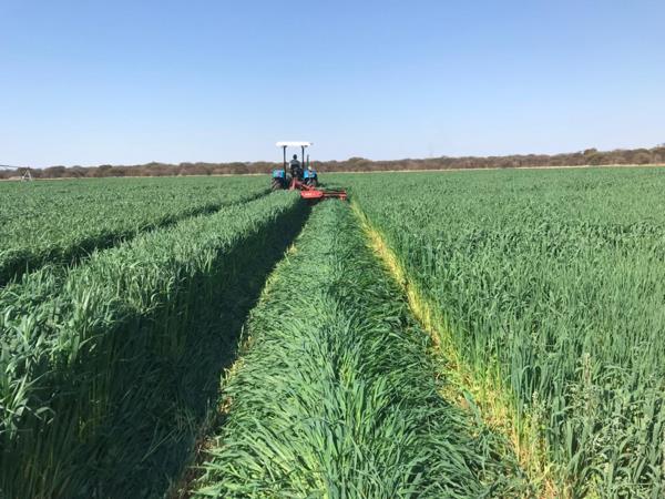 347.5 ha Farm