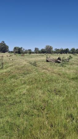 4 447 m² Land