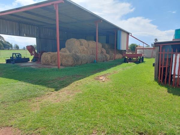 56 m² Farm