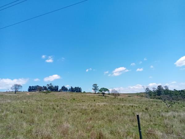 20 ha Farm with House