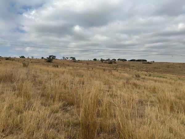 8.7 ha Smallholding