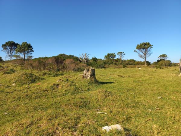 8 300 m² Land