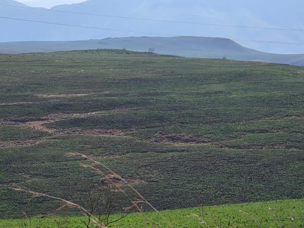 450 ha Farm