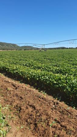 206 ha Farm