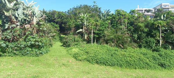 1 133 m² Land