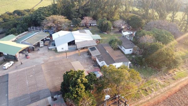 21 462  m² Commercial space