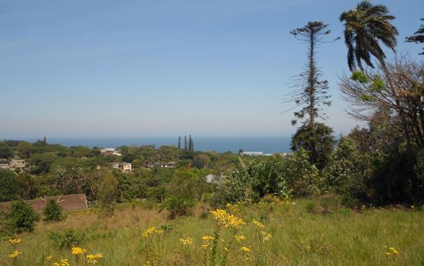 782 m² Land