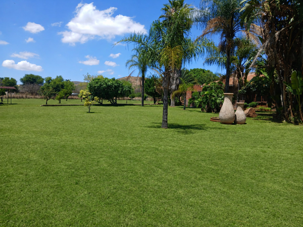1.5 ha Smallholding