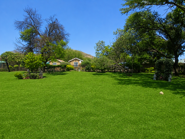 1.5 ha Smallholding
