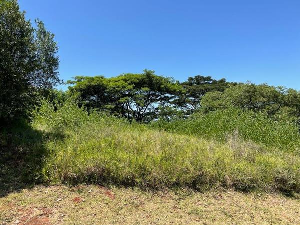 1 619 m² Land