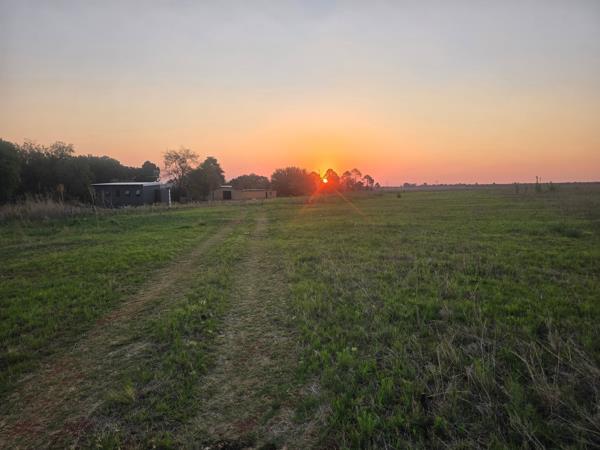 26 m² Farm