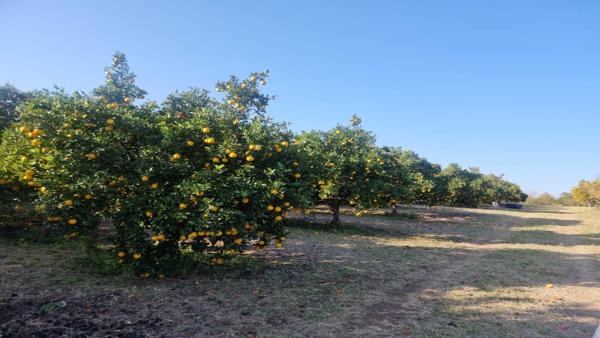 47 ha Farm