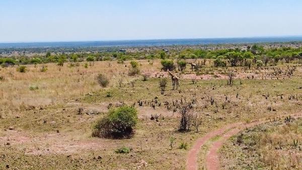 21 ha Land