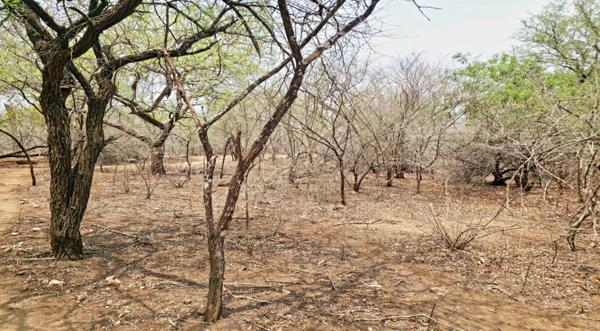 1 587 m² Land