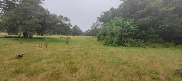 1.9 ha Smallholding