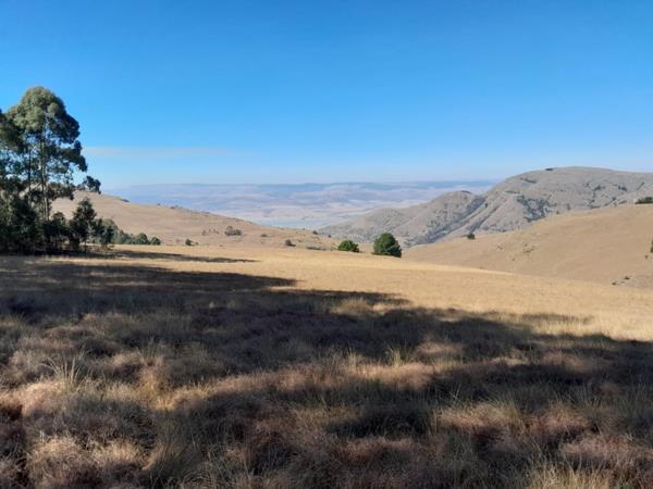 136.7 ha Land