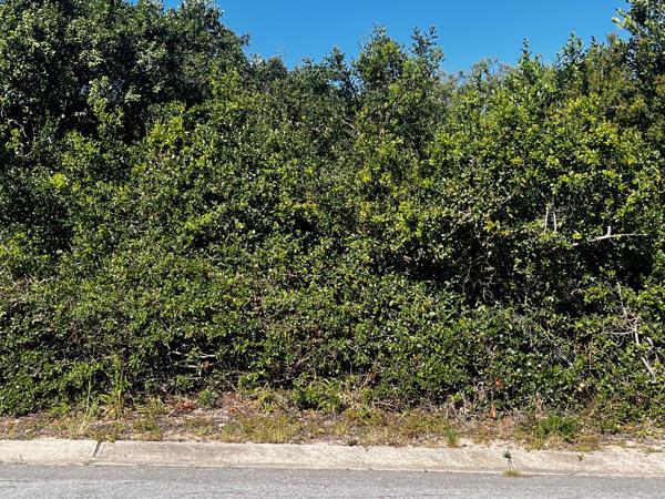 823 m² Land
