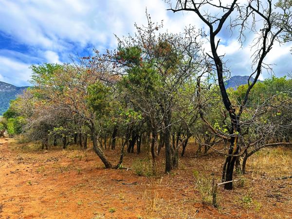 2 684 m² Land