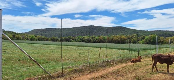 35 ha Farm