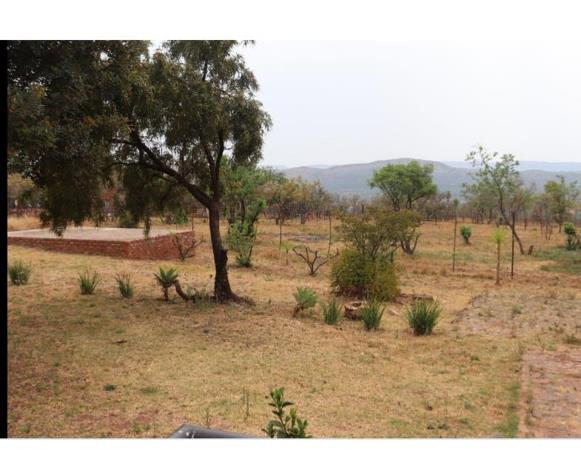 1 ha Farm with House