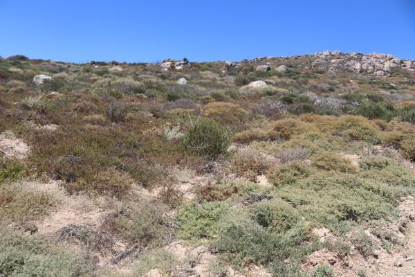 460 m² Land