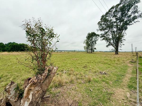 9.1 ha Smallholding